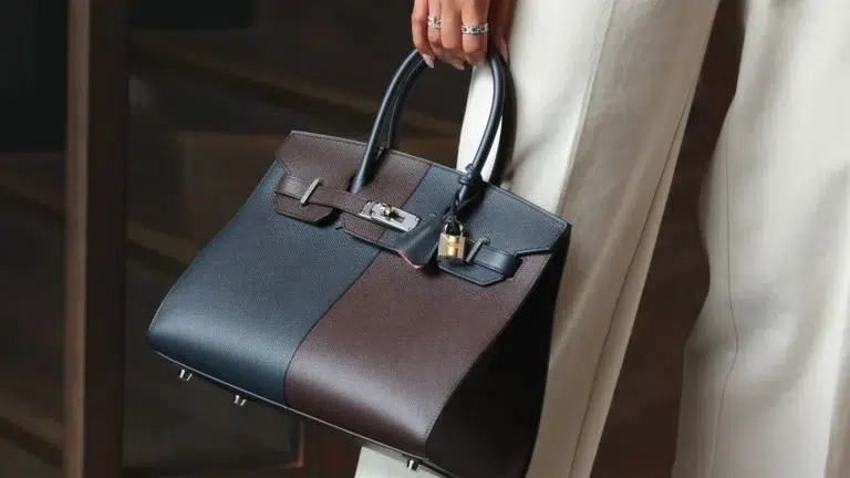 Hermès Birkin bag in premium leather showing handcrafted luxury handbag that became investment asset outperforming traditional financial markets through scarcity and status